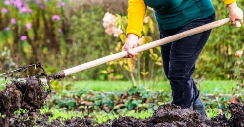 Удобрение в сентябре. Когда и как правильно вносить осенние удобрения для подкормки и для улучшения плодородия почвы