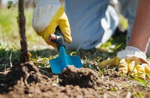 Удобрение в сентябре. Когда и как правильно вносить осенние удобрения для подкормки и для улучшения плодородия почвы