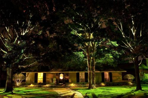 Как подготовить почву для посадки кустарников осенью