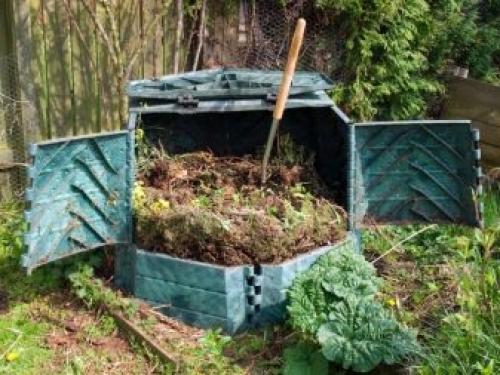 После капусты, что можно сажать. Что сажать после капусты на следующий год 11 После капусты, что можно сажать. Что сажать после капусты на следующий год 11