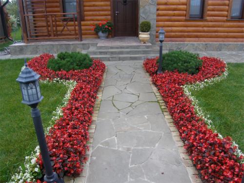 Какие растения можно посадить в сентябре для бордюров. Назначение цветов для бордюров