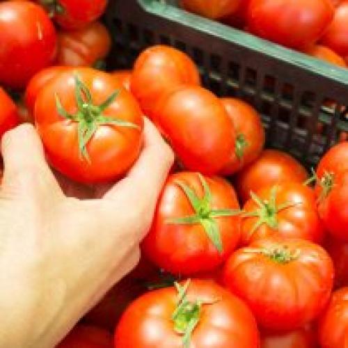 Как защитить растения от холодов и непогоды в конце сезона. Как защитить растения от мороза