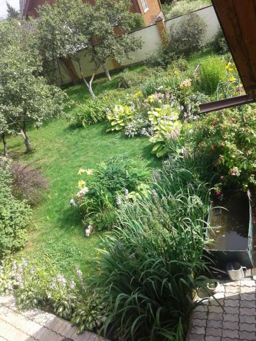 Правила выбора многолетников