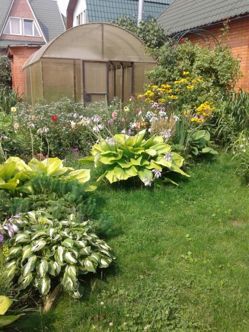 Правила выбора многолетников