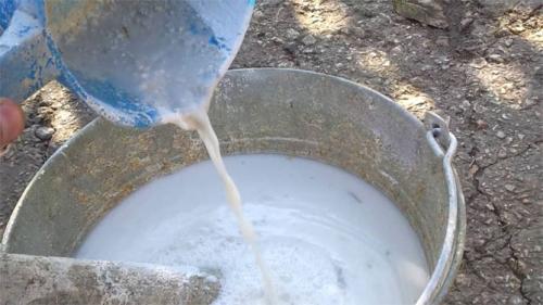 Какие условия нужны шампиньонам для хорошего роста. Выбор помещения