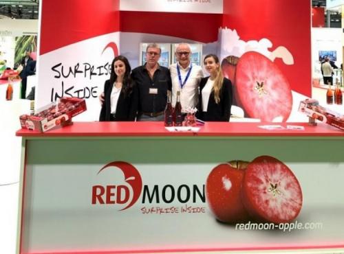Яблоки Red Moon с красной мякотью. Яблоки «с сюрпризом» вывели в Италии 01