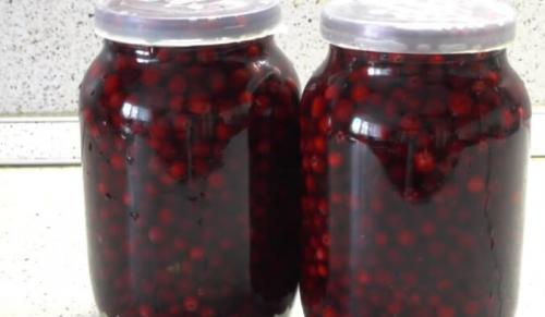 Брусника на зиму без варки. Брусника на зиму — полезные рецепты с варкой и без варки