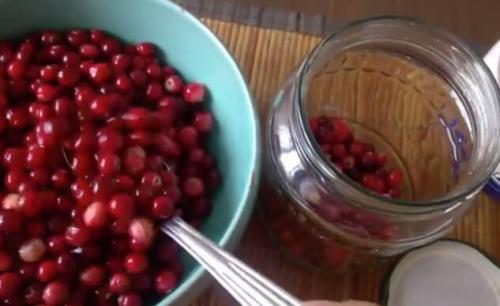 Брусника на зиму без варки. Брусника на зиму — полезные рецепты с варкой и без варки