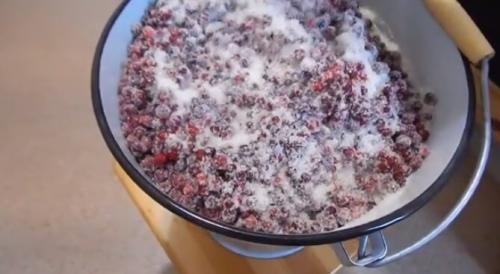 Брусника на зиму без варки. Брусника на зиму — полезные рецепты с варкой и без варки