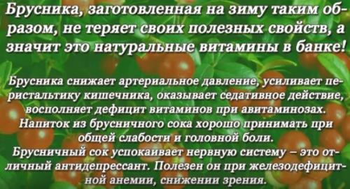 Брусника на зиму без варки. Брусника на зиму — полезные рецепты с варкой и без варки