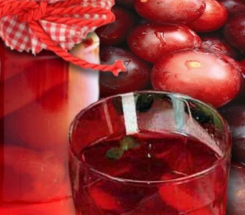 Что сделать на зиму из брусники. 18