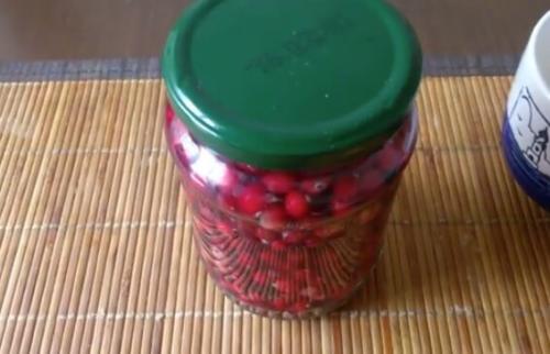 Брусника на зиму без варки. Брусника на зиму — полезные рецепты с варкой и без варки