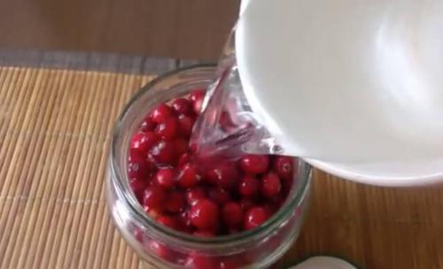 Брусника на зиму без варки. Брусника на зиму — полезные рецепты с варкой и без варки