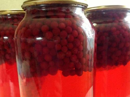 Что сделать на зиму из брусники. 16