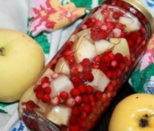 Что сделать на зиму из брусники. 20