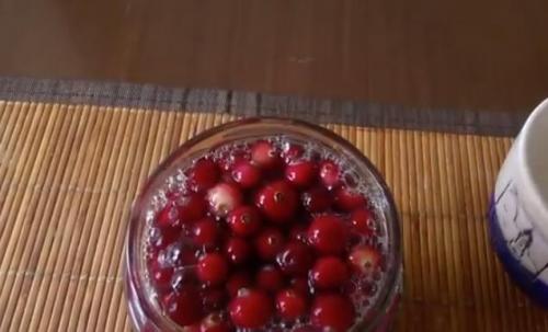 Брусника на зиму без варки. Брусника на зиму — полезные рецепты с варкой и без варки