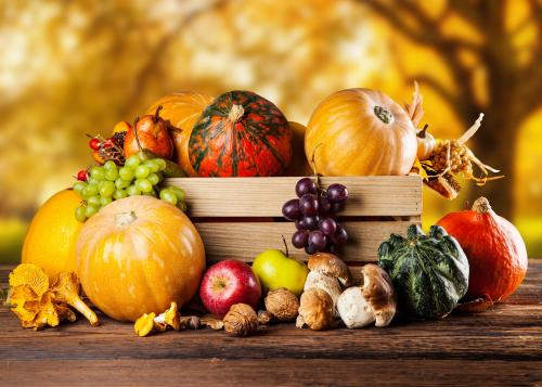 Что посадить и посеять осенью в саду и огороде. Что посадить осенью для самого красивого весеннего сада 18