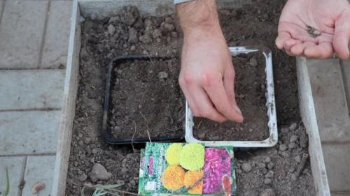 Как подготовить почву для сева растений в сентябре