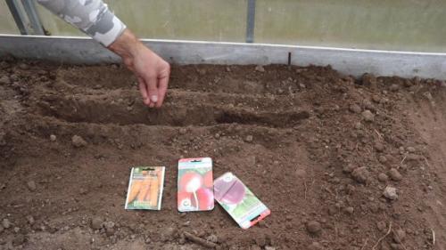 Как подготовить почву для сева растений в сентябре