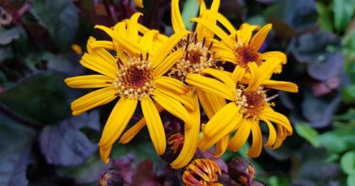 Как подготовить почву для сева растений в сентябре