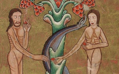 Змеи чувствуют запах. Самые распространенные мифы о змеях