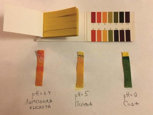 Как часто нужно проводить технологию известкования почвы