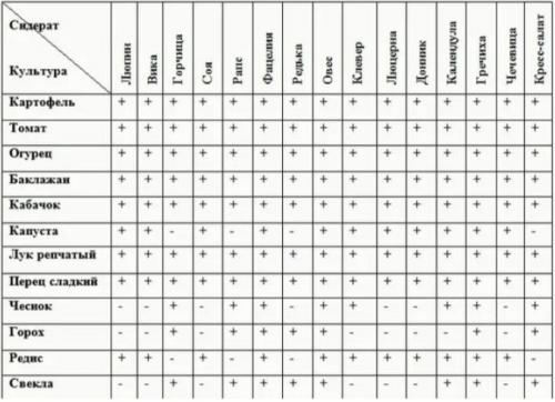6 лучших сидератов для огорода осенью. Какие лучше сеять растения 07