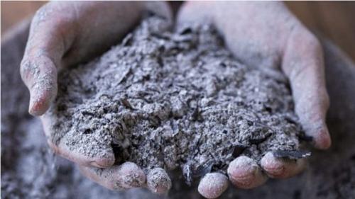 Удобрение для смородины и крыжовника осенью. Чем подкормить кустарники осенью 05