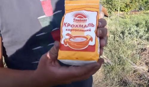 Удобрение для смородины и крыжовника осенью. Чем подкормить кустарники осенью 04