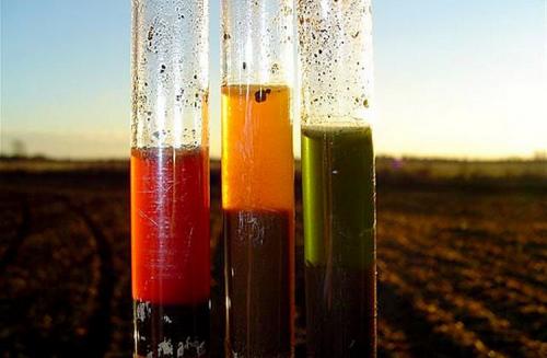 Как узнать, какая почва кислая или щелочная. Что такое кислая и щелочная почва