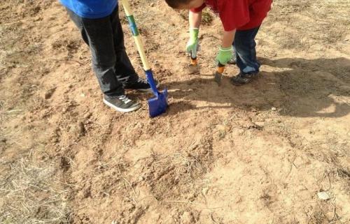 Суглинистая почва. Характеристика суглинистых почв и как выглядит грунт, методы его улучшения