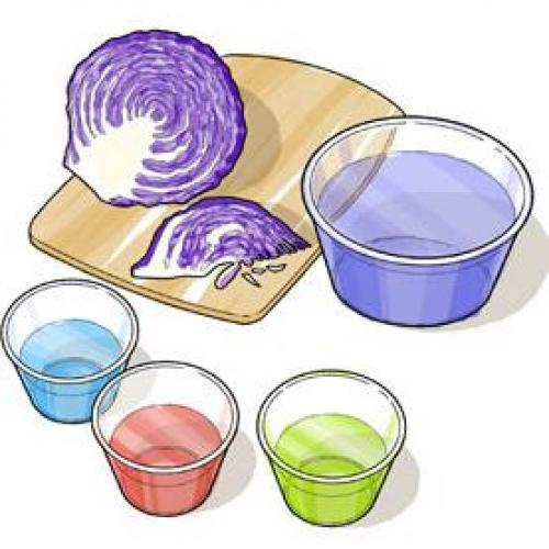 Как узнать, какая почва кислая или щелочная. Как определить кислотность почвы без приборов