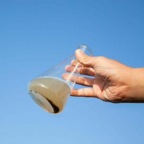 Как определить тип почвы на своем участке. Как определить свой тип почвы и зачем 02