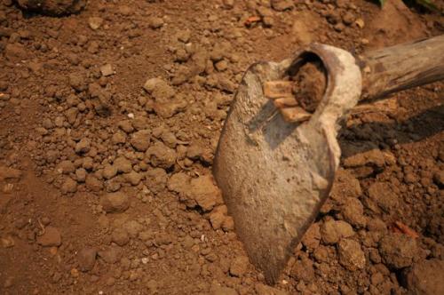 Как определить тип почвы на дачном участке. Механический состав почвы