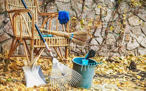 Что посеять и посадить в ноябре. Что посадить в ноябре на огороде, клумбе и в саду 08