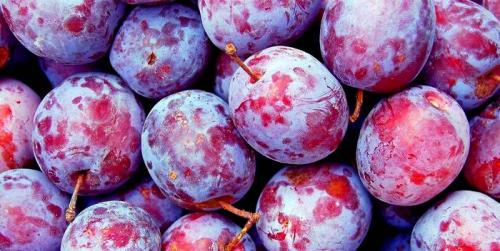 Как правильно выбрать сливы для заготовки. Как правильно выбрать сливу?