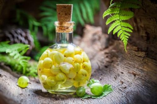 Какие напитки можно приготовить с использованием сливы. 20 потрясающих рецептов наливки из сливы