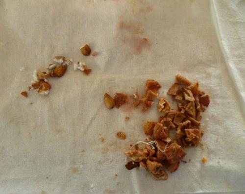 Что делает варенье из сливы нежным. Варенье из сливы без косточек на зиму: 10 простых рецептов густого сливового варенья