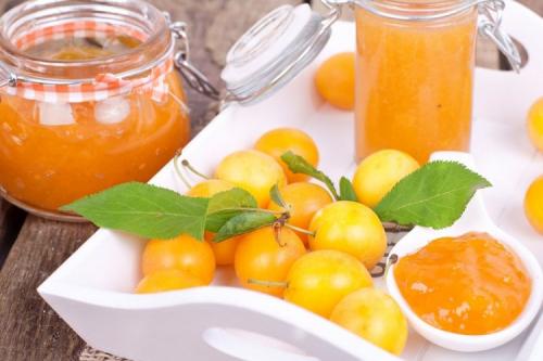Какие виды блюд можно приготовить из желтой сливы. Желтая слива на зиму: 15 рецептов легких и вкусных заготовок