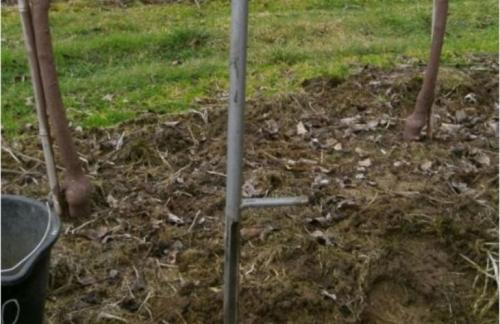 Как определить качество почвы не прибегая к анализу. Проверка качества плодородного грунта лабораторным путем 03