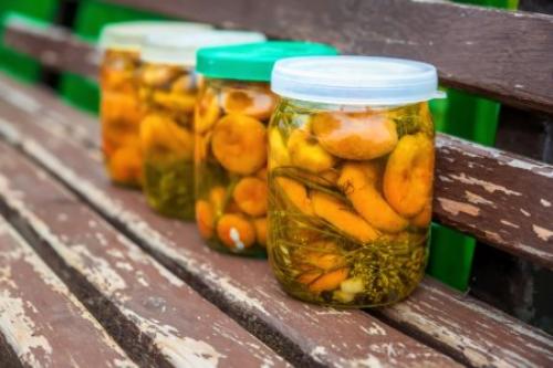 Как правильно упаковать маринованные сливы для хранения. 12 лучших рецептов маринованной сливы на зиму