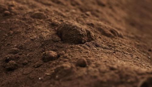 Как отличить плодородный грунт от плохого. Плодородный чернозем, или царь почв 03