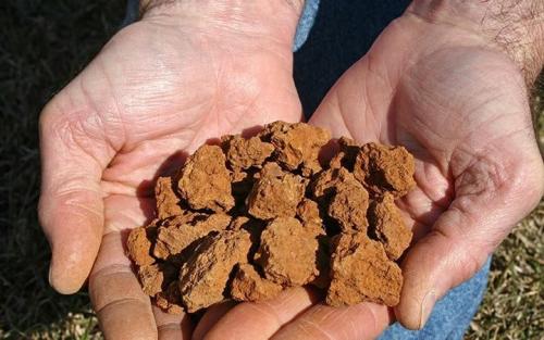 Как отличить плодородный грунт от плохого. Плодородный чернозем, или царь почв 04