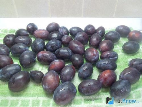 Заготовка сливы на зиму: простой и вкусный способ сохранить сезонные фрукты 15 Заготовка сливы на зиму: простой и вкусный способ сохранить сезонные фрукты 15
