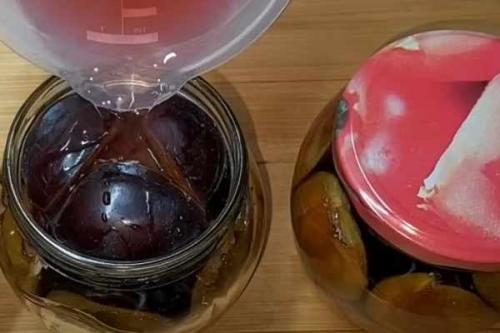 12 лучших рецептов маринованной сливы на зиму. 15 лучших рецептов маринованных слив на зиму