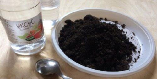 Как проверить состав почвы на участке. Как проверить качество грунта перед использованием на дачном участке 02