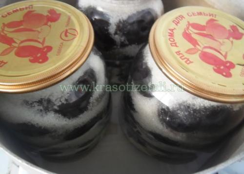 Сладкие воспоминания о лете: 15 вкуснейших заготовок из сливы на зиму 03