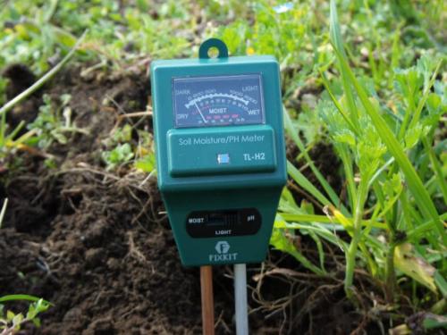Как понизить кислотность почвы в домашних условиях. Определение кислотности почвы