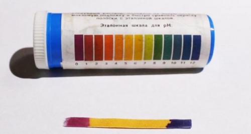 Как понизить кислотность почвы в домашних условиях. Определение кислотности почвы