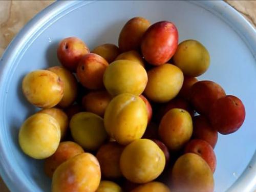 Какие виды сливовых варенья существуют